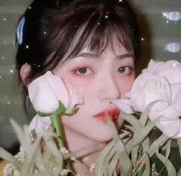 我的朋友们